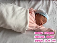 子宫受损代妈助孕 喜获健康男宝宝