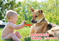 孕期补充营养素的误区有哪些